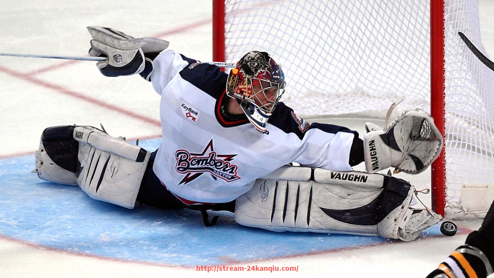 24看球直播网-世俱杯赛事视频审查人员职责说明书及培训方案