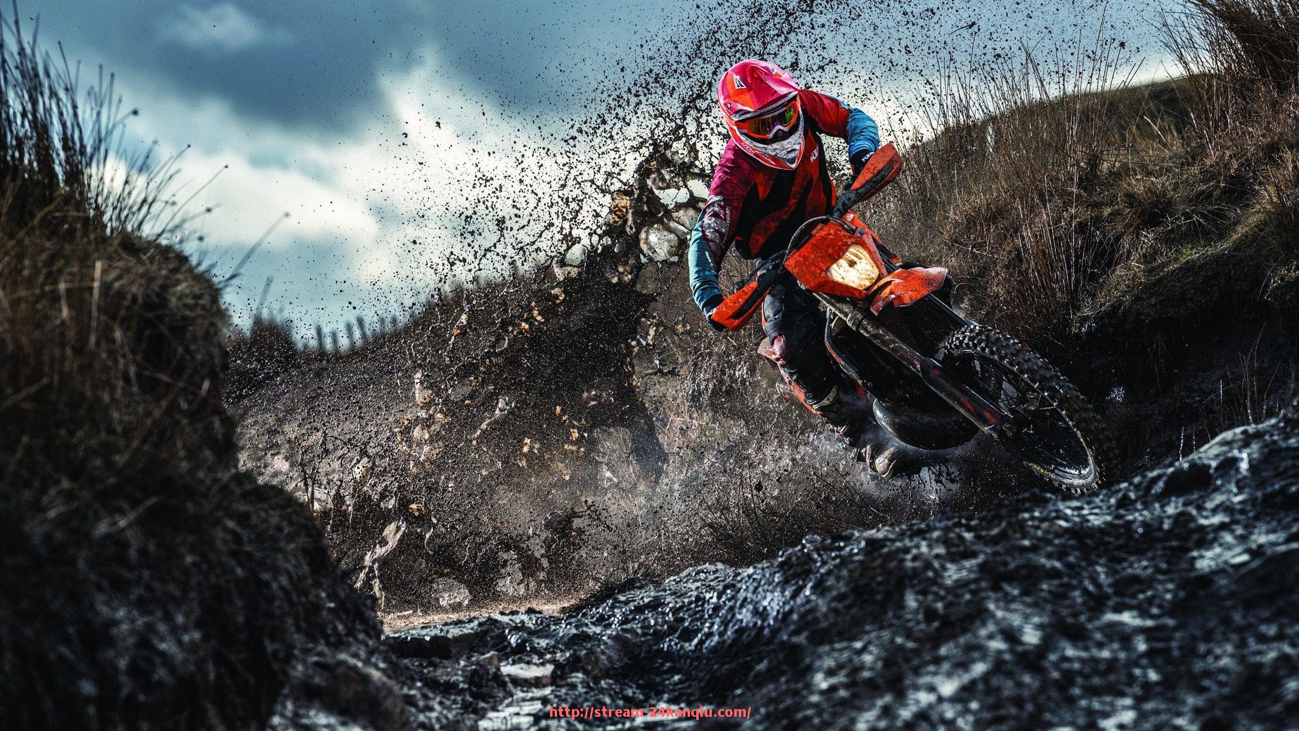 24看球直播网-家用有氧健身器材推荐与选择：家用健身房必备的有氧器材推荐与分析